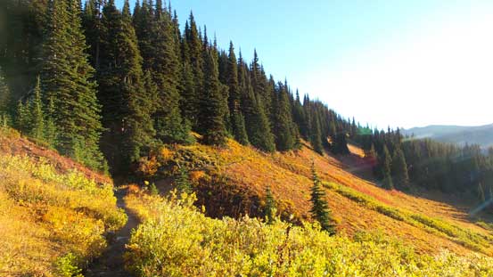 Finally hiking into sunshine