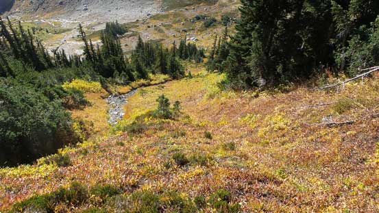 Steep grass... Not very pleasant...