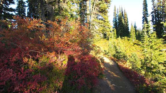 Gorgeous fall colours!!
