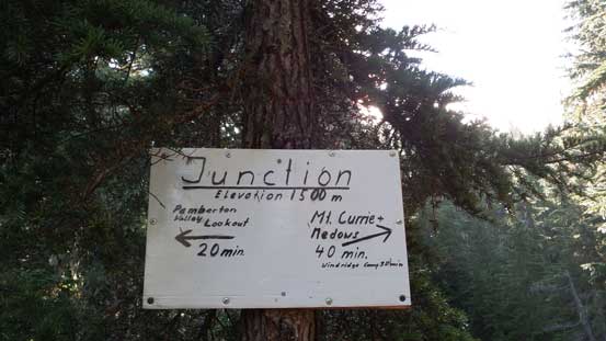 The first signed junction