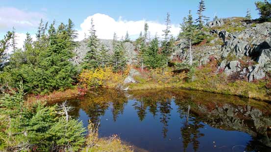 One of the many ponds near treeline