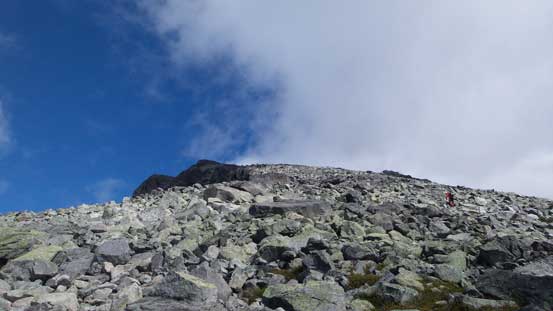 Oh the boulder field...