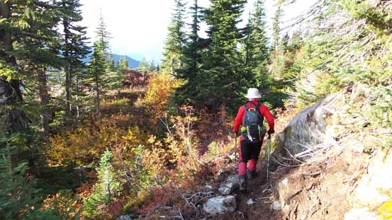 Brian hiking down along the trail