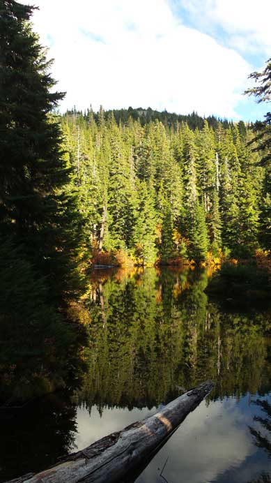 Another tarn lower down in the forest