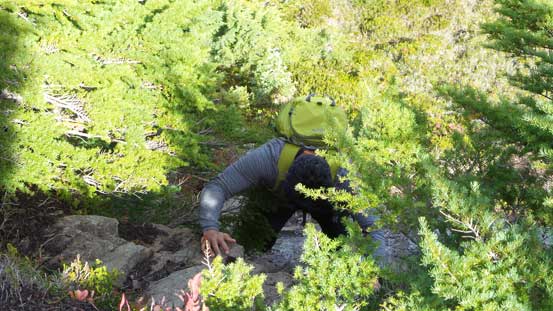 Mark ascending the wet slab step