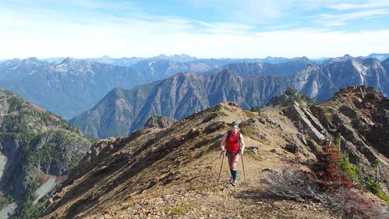 Al approaching the summit