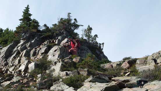 Al descending MacFarlane