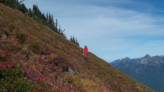 The slope is very steep... Thankfully it's dry...