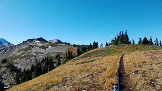 The typical scenery along this trail