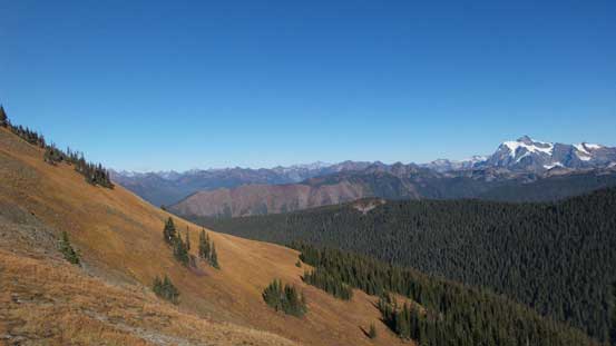 One last look before entering the forest