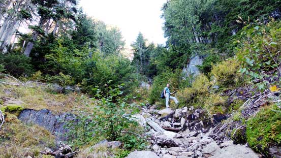 Ascending steeply up Habrich's climber access trail