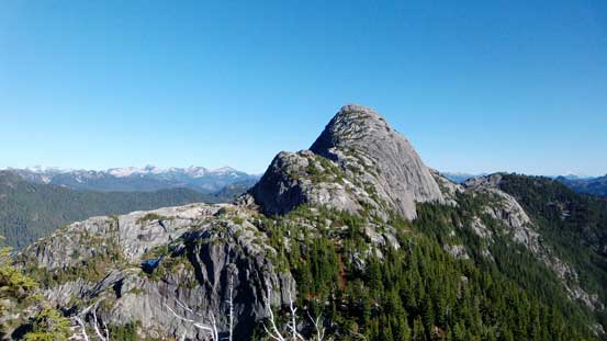 But now it's the reward. Looking back towards our objective