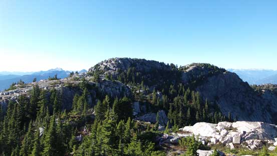 But more bumps to come...