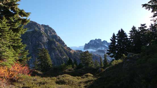 Finally cresting the ridge after 2 hours of bushwhacking