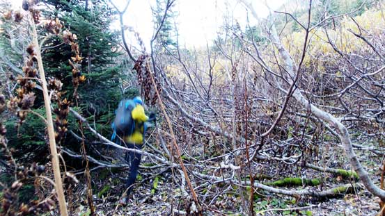 Dean powering through the slide alders...