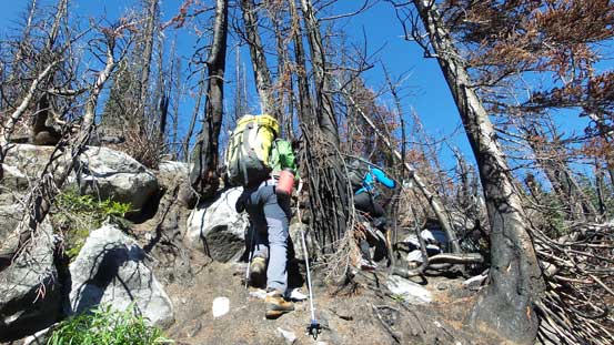 Continuing up through this burnt forest