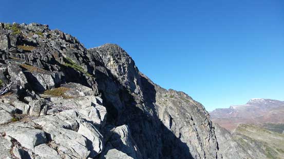 Looking back towards the true summit