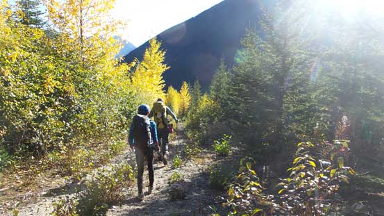 Back to the logging road slog...