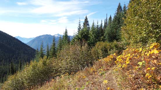 One of the many opening areas