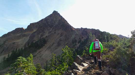 Breaking out of the trees now, looking ahead