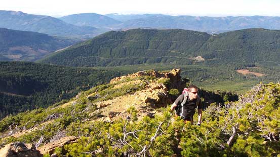 A bit of bush to thrash through