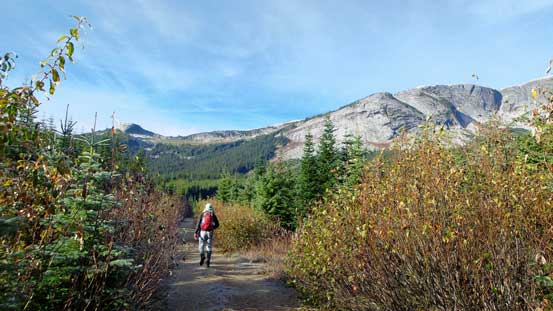 Vlad continuing up the logging road