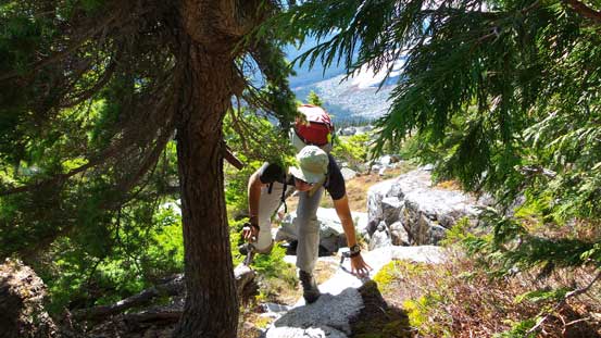 A bushy scrambling spot