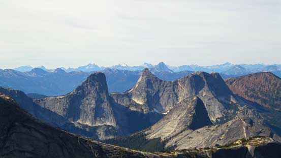 Steinbox (L), Ibex (C) and Chamois (R) in the Anderson River Group
