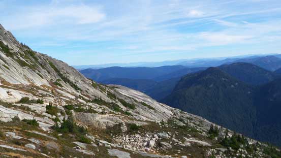 Looking over the shoulder of Guanaco