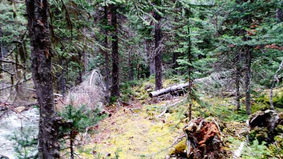 This trail is relatively well maintained and marked