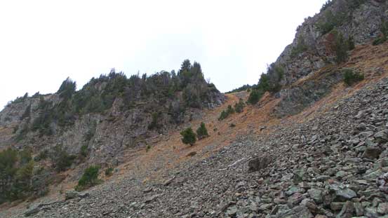 A look at the steep gully that I ascended after leaving the trail