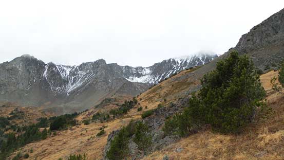 Some fall colours in this bowl