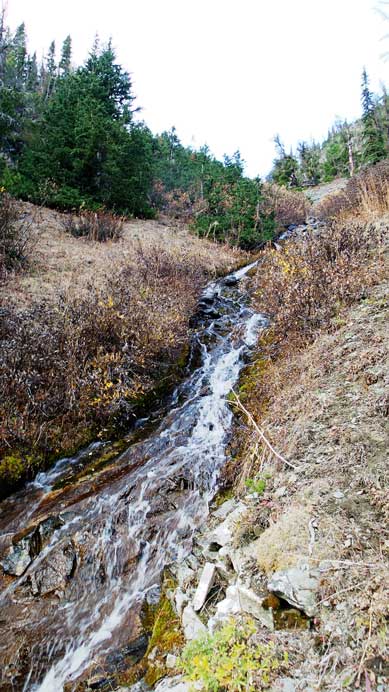 Into the gully, nothing tricky
