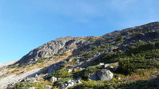 The typical slog up the lower slopes of Mt. Cook