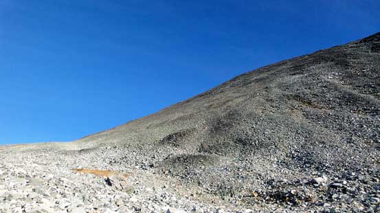 The upper slopes of Mt. Cook