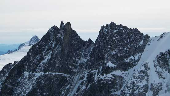 The Owls looks super imposing