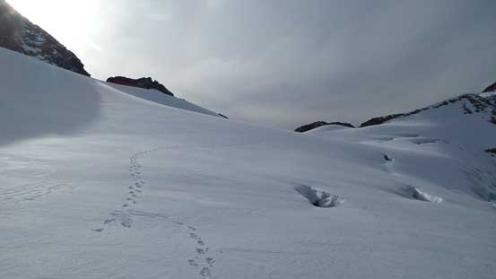 My tracks and more crevasses...