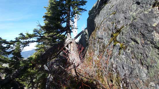 The typical terrain going up the true summit