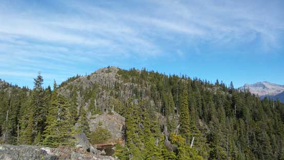 Looking back before entering the forest