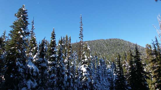 The forested slog was boring...