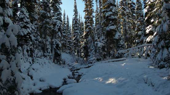 Enough snow for snowshoes now