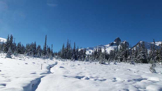 The boot tracks stopped here.