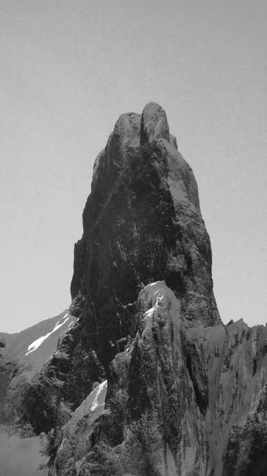 The Tusk is getting sharper and sharper