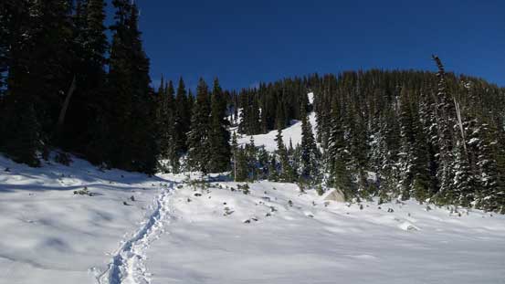 Looking back at my tracks