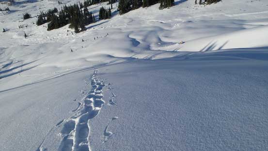 Looking down at my tracks