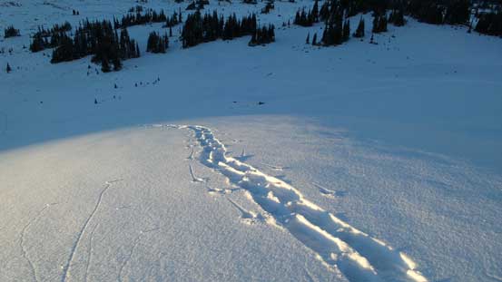 The last bit of sunlight