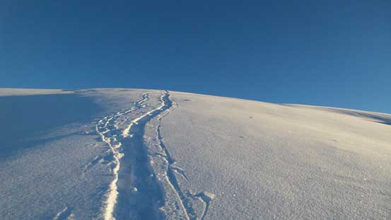 Looking back up my tracks
