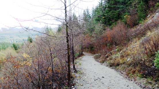 One section of this trail follows this logging road up