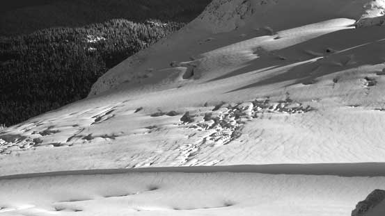 Crevasses on the NE Glacier