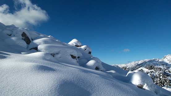 Those boulders do make some good views though...